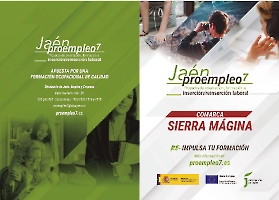 Dípticos y Stories_10