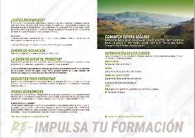 Dípticos y Stories_11