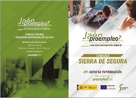 Dípticos y Stories_12