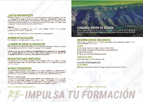 Dípticos y Stories_13