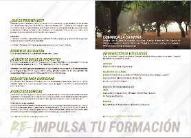 Dípticos y Stories_2