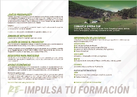 Dípticos y Stories_3