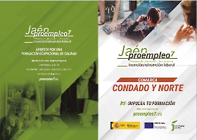 Dípticos y Stories_4