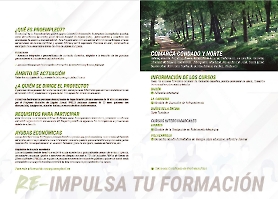 Dípticos y Stories_5