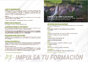 Dípticos y Stories_7