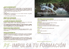 Dípticos y Stories_9